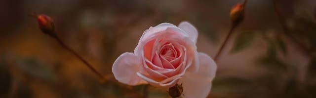 Spirituel udvikling - krystal armbånd - quiz