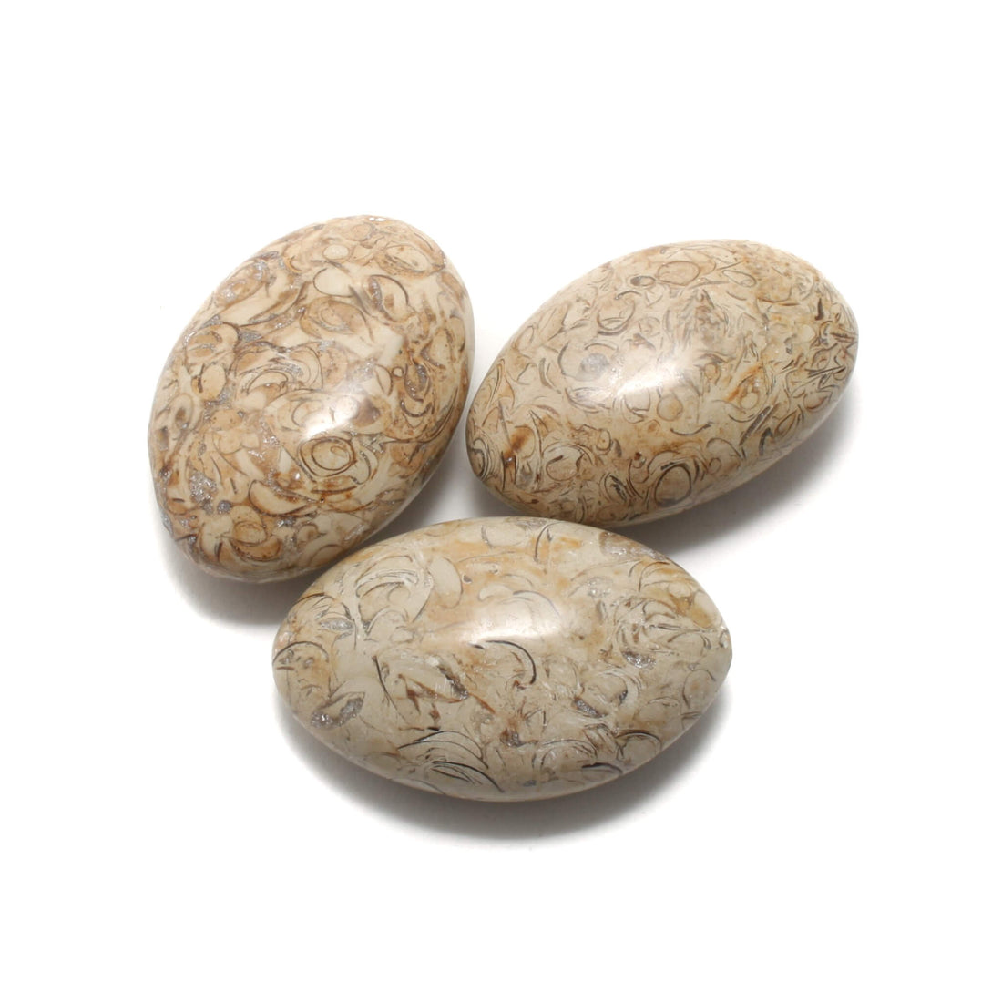 Coquillage - Palmstones