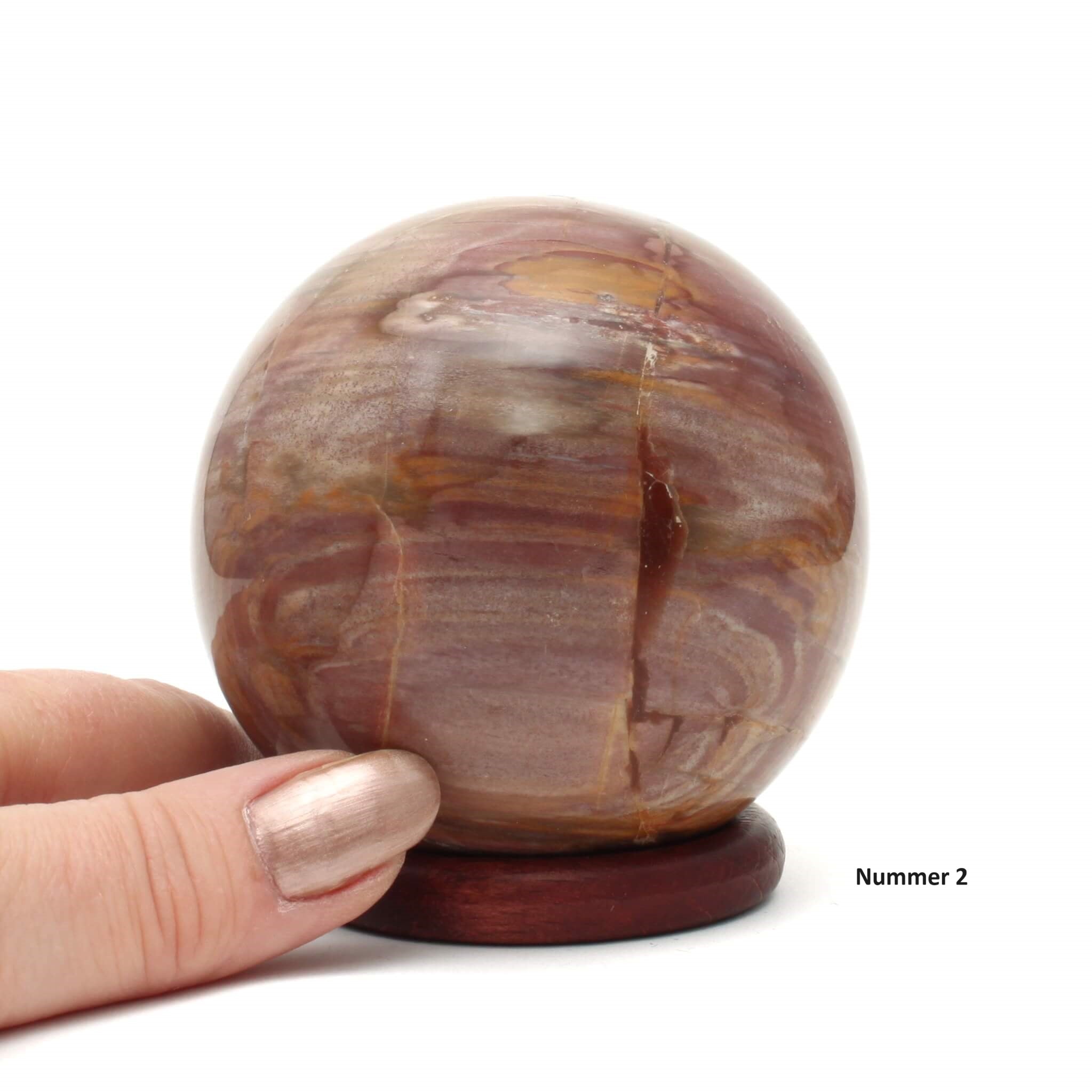 Sphere i forstenet træ