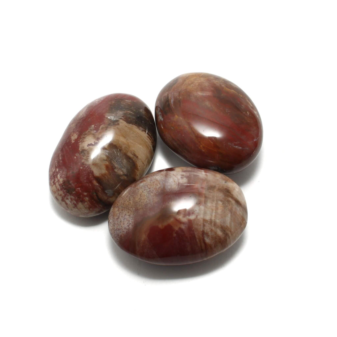 Forstenet Træ - Palmstones