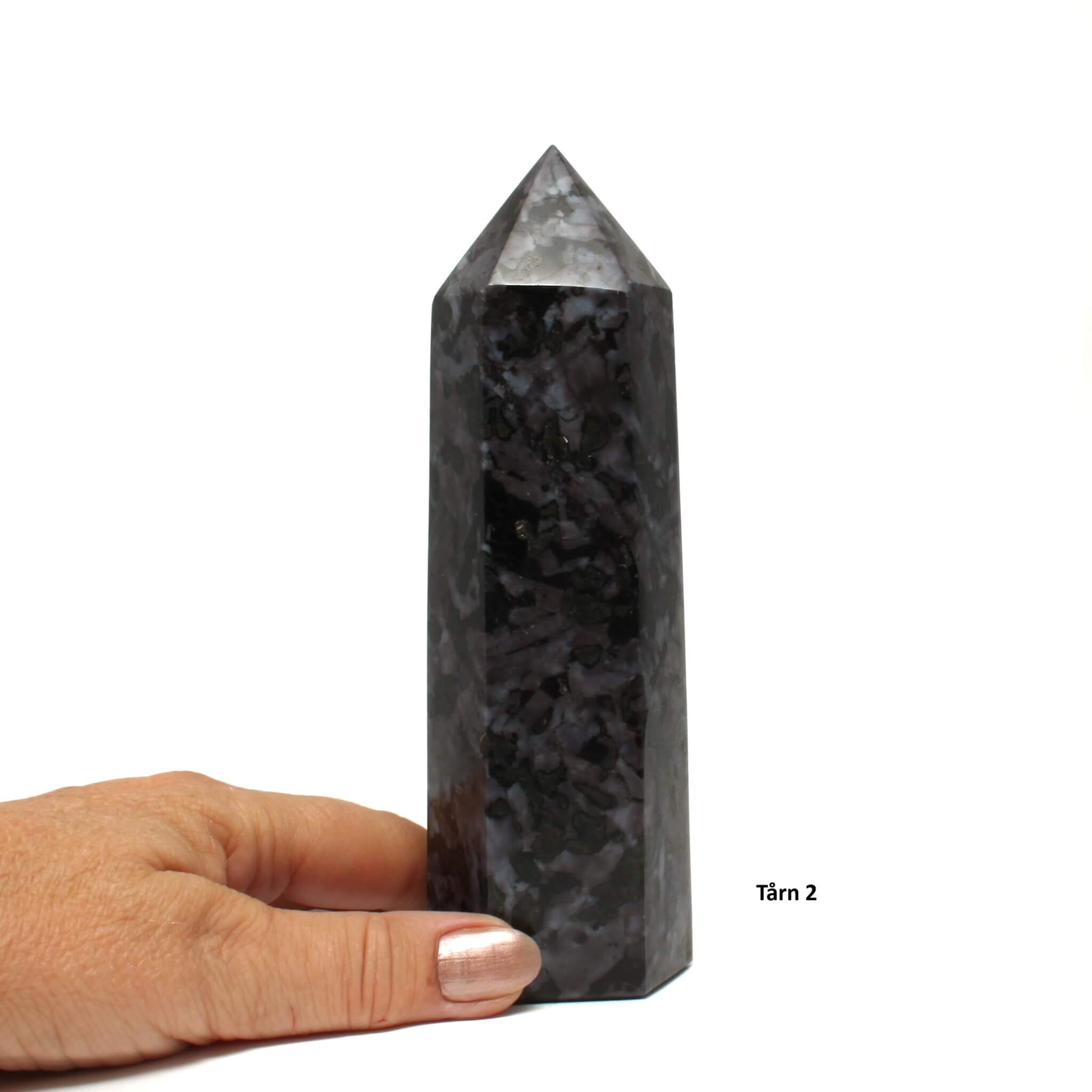 Gabbro tårn 2
