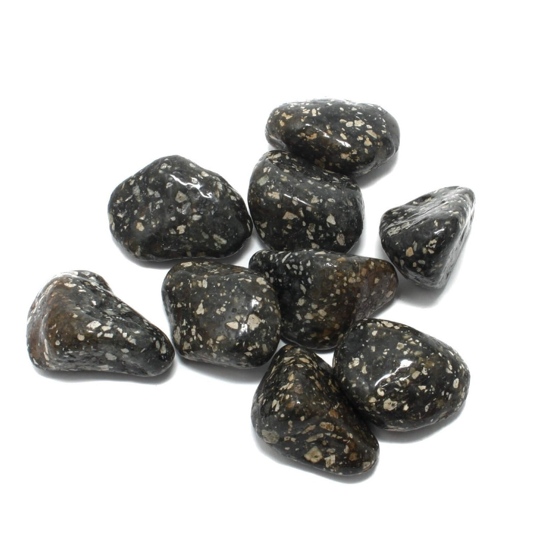 Guinea Fowl lommesten i høj kvalitet